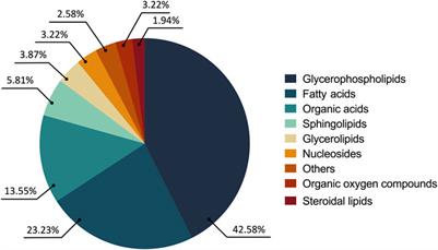 Clethra fimbriata hexanic extract triggers alteration in the energy metabolism in epimastigotes of Trypanosoma cruzi